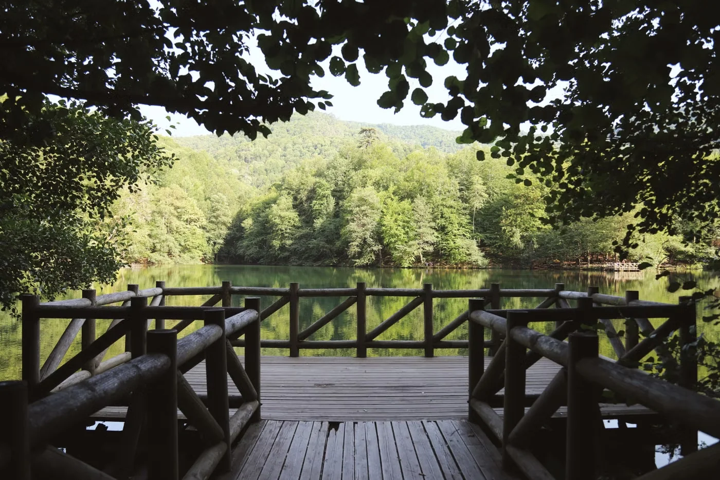 A timber deck and railing overlooking a lake and woodland